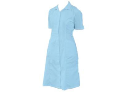 Princess Line Short Sleeve Dress  