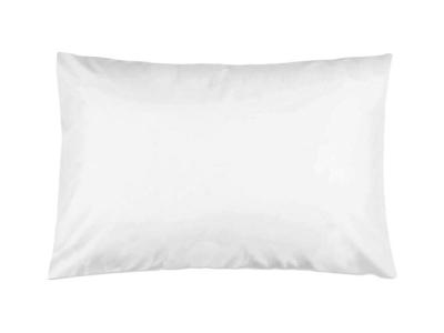 Pillow Case Encasements