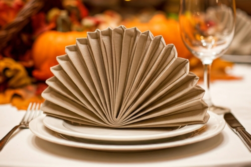 Napkin Folding